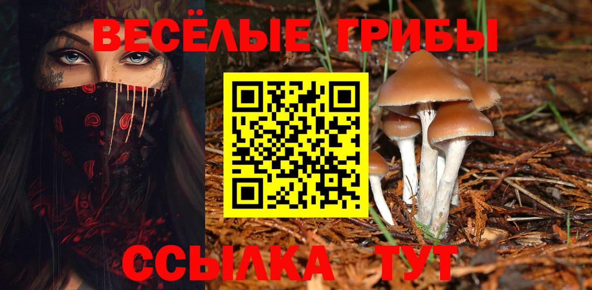 Галлюциногенные грибы GOLDEN TEACHER  Псилоцибиновые грибы Psilocybine cubensis  дарнет шоп  Черняховск  Вход с VPN 