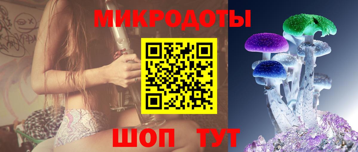 Галлюциногенные грибы прущие грибы Черняховск